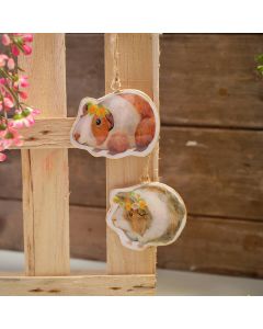 6GP100